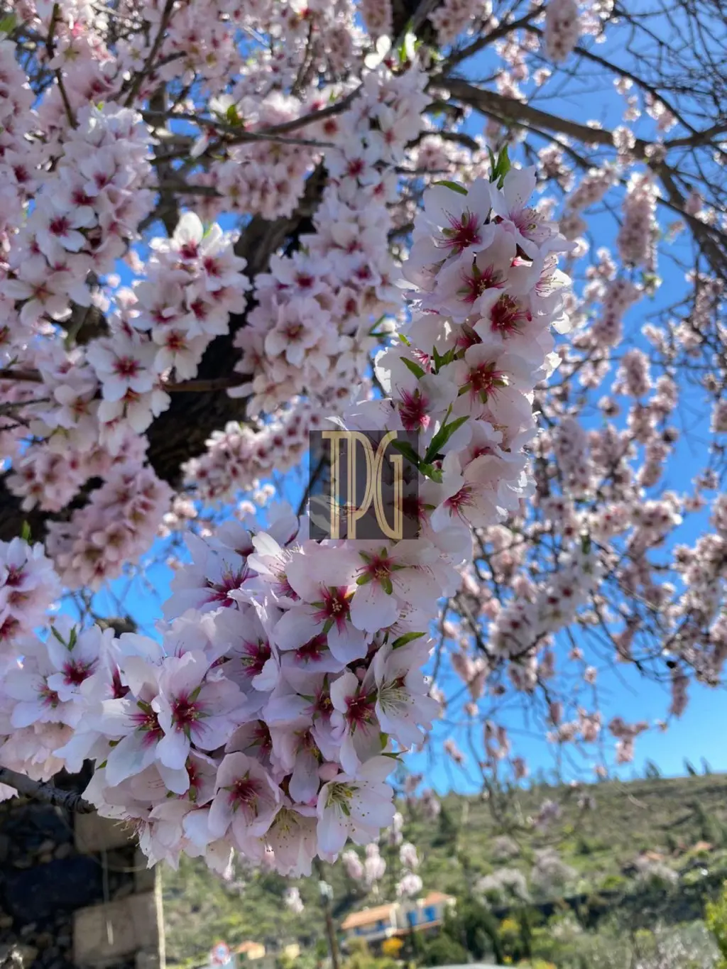 Image of 3 bed house for sale in Aripe