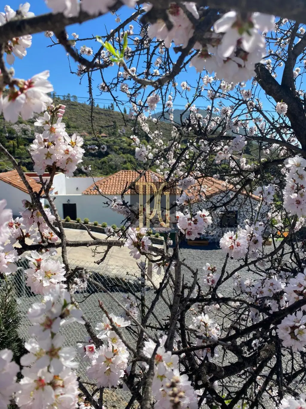 Image of 3 bed house for sale in Aripe