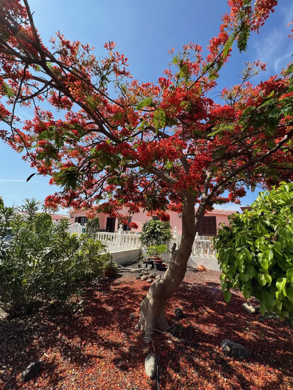 Image of 3 bed house for sale in Costa del Silencio